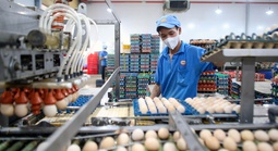 Nỗ lực giữ giá hàng hóa