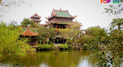 Trải nghiệm vẻ đẹp miền biển và văn hóa đất võ Bình Định cùng BinhDinhToplist