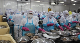 Xuất khẩu nông, lâm, thủy sản có thể giảm hàng tỉ USD vì xung đột ở Trung Đông