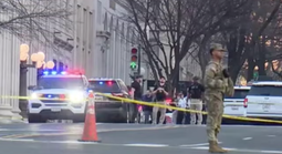 Xe lao vào hàng rào an ninh gần Nhà Trắng, tài xế bị bắt giữ