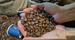 Giá cà phê hôm nay 12-3: Bốc hơi 3 con số bất chấp Brazil xuất khẩu giảm gần 23%