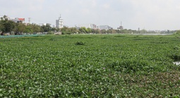 Cần Thơ: Chỉ đạo "nóng" sau phản ánh của Báo Người Lao Động liên quan hồ Búng Xáng