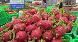 Quy định mới về xuất khẩu nông sản sang Trung Quốc từ 1-6