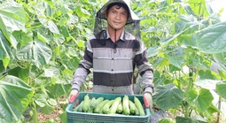 Lao động xuất khẩu chuyển hướng an toàn