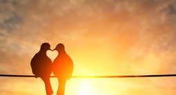 Top 4 con giáp đào hoa nhất năm 2026