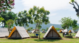 VIDEO: Ngẩn ngơ trước vẻ đẹp thơ mộng của "lá phổi xanh" Dầu Tiếng