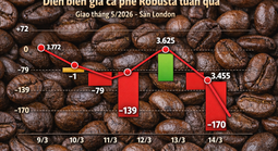 Giá cà phê hôm nay 14-3: Rớt mạnh khi người Mỹ thay đổi thói quen