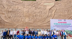 7 năm trồng cây xanh: Toyota cam kết vì một Việt Nam kiên cường và thịnh vượng