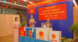 Tỉ lệ cử tri đi bầu cử của TPHCM đạt 96,67%