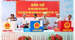 Cử tri cả nước hân hoan đi bầu cử 