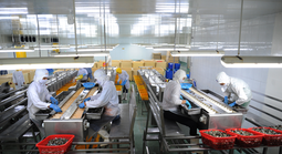 Cà Mau khai thác lợi thế nuôi trồng thủy sản