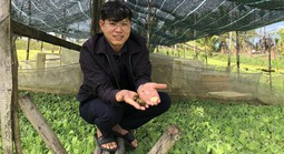 Làm giàu từ nông nghiệp sạch