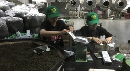 Một lần tới thăm bảo tàng trà ở phố ngàn hoa