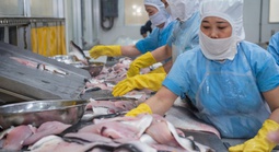 Nỗ lực đưa xuất khẩu vượt qua thách thức