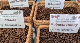 Giá cà phê hôm nay 18-3: Arabica – Robusta đồng loạt tăng, tín hiệu đảo chiều rõ nét