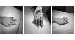 Xuyên đêm nối lại 4 ngón tay đứt rời cho người đàn ông bị tai nạn máy cắt