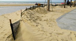 Vụ "hình ảnh lạ" tại công viên ngàn tỉ đồng ở Bãi sau Vũng Tàu: Tính toán giải pháp xử lý