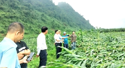 Trận lốc xoáy kinh hoàng vừa xảy ra ở Quảng Trị