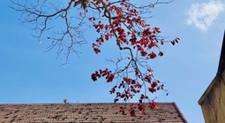 Hình ảnh Côn Đảo vào "mùa đẹp nhất năm"