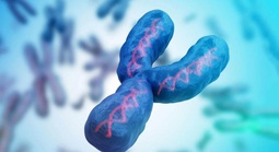 Nam giới đang mất dần nhiễm sắc thể Y