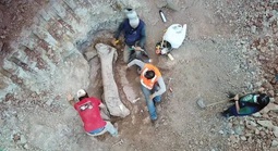 Quái vật dài 20 m "trỗi dậy" giữa công trình đường sắt