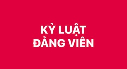 TPHCM: Thi hành kỷ luật, khai trừ Đảng 5 đảng viên