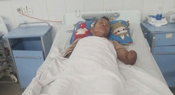 Tin mới liên quan cụ ông cụt 2 tay kẹp con rắn hổ mang dài 2 mét