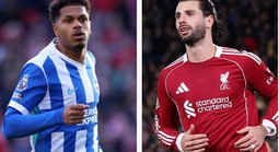 Soi tỉ số trận Brighton - Liverpool: Căng thẳng cuộc chiến ở sân Amex