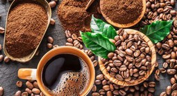 Khói sương trong tách, thi ca dưới phèn