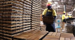 Hành trình đưa hàng Việt chinh phục thế giới