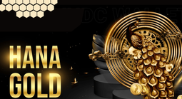 Diễn biến mới nhất liên quan sự cố trên ONUS và Hana Gold