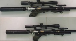 Dùng súng hơi săn động vật hoang dã, 2 người bị khởi tố