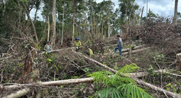 RỪNG VẪN "CHẢY MÁU" (*): Siết quản lý, bám sát địa bàn
