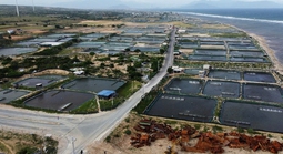 Điện hạt nhân quyết định sự tự chủ về năng lượng