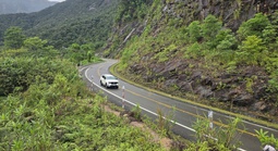 Mở thêm đường nối "biển" và "hoa"