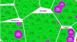 VN-Index phục hồi gần 24 điểm, cổ phiếu ngân hàng, bất động sản dẫn sóng