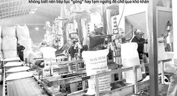 Báo in ngày 25-3: Không còn “thích gì nói nấy” trên mạng