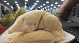 Sầu riêng Ri 6 Việt Nam áp đảo chợ châu Á ở Mỹ