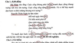 Đề nghị điều tra vụ đề thi học sinh giỏi bị chỉnh sửa gây bức xúc dư luận tại Đắk Lắk