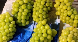 Việt Nam chi hàng trăm triệu USD nhập khẩu nho tươi Trung Quốc