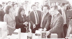 Báo in ngày 29-3: Quyền lực ảo, sa ngã thật