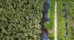 Sẵn sàng ứng phó trước nguy cơ cháy rừng ở U Minh Hạ