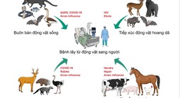 HCDC và ngành thú y TPHCM tăng cường phối hợp dữ liệu phòng bệnh lây từ động vật