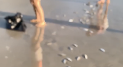 Clip: Hàng ngàn con cá bất ngờ dạt vào bờ biển Khánh Hòa