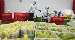 Linh hoạt, bình tĩnh ứng phó