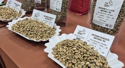 Giá cà phê hôm nay 31-3: Bị bán tháo mạnh ngay đầu tuần