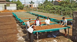 CÚ HÍCH NĂM DU LỊCH QUỐC GIA: Định hình bản sắc du lịch liên vùng