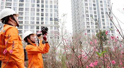 EVN dốc toàn lực bảo đảm điện mùa khô 2026