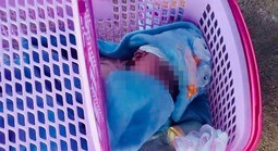 Bé trai được đặt trước cửa nhà dân kèm bức thư nhiều nghi vấn 