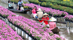 DongThapToplist nâng cao trải nghiệm tìm kiếm thông tin địa phương Đồng Tháp